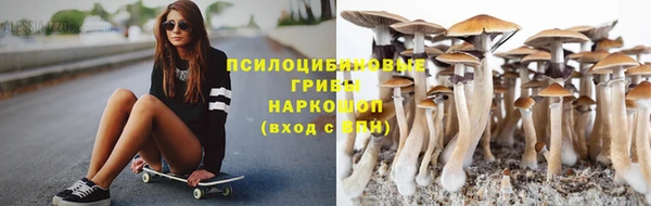 apvp Горнозаводск