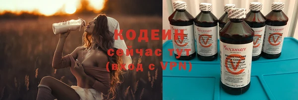 apvp Горнозаводск